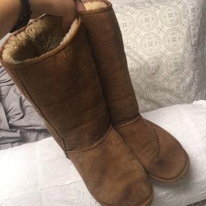 Tall chestnut Uggs size 8